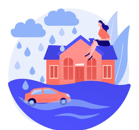 Security and Risk Management Services