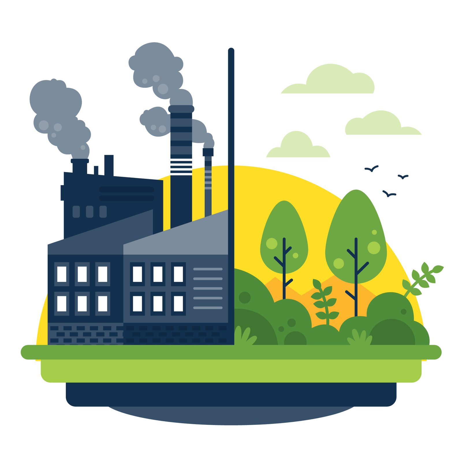 Our team's deep understanding of the industry helps them work well in different rules and sectors