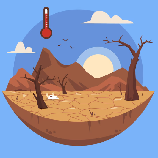 Soil erosion from poor irrigation washes away topsoil, harming soil health and long-term crop growth